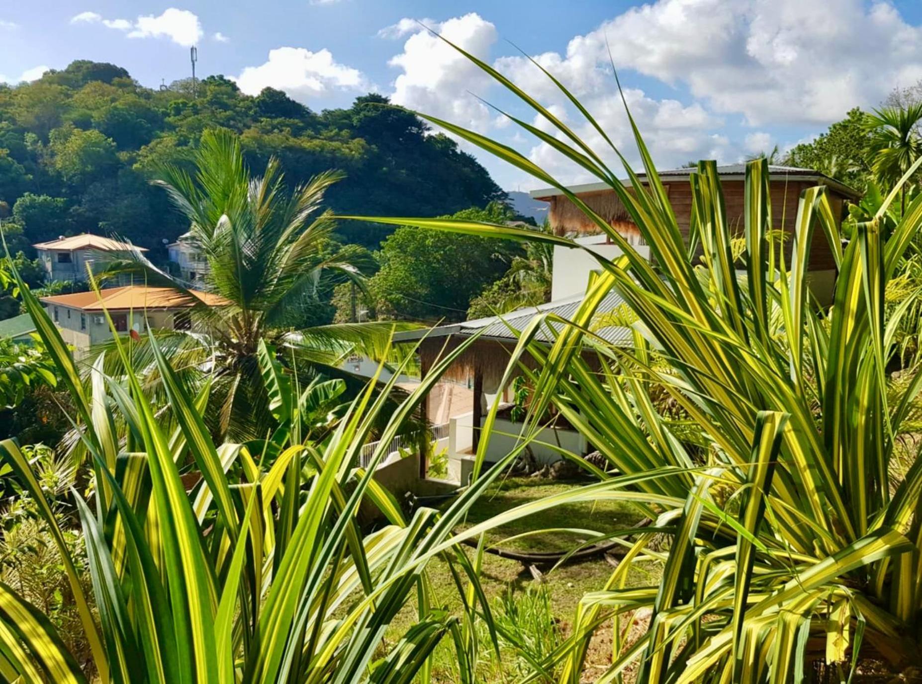 Cocotier, Elegant T3 Avec Jardin Tropical Apartment Sainte-Anne Ngoại thất bức ảnh